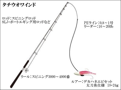 タチウオワーム【タックル図】