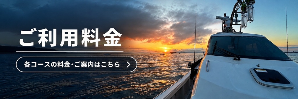 エル・クルーズ ご利用料金・コース一覧