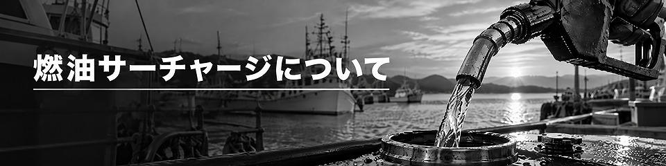 燃油サーチャージについて｜エル・クルーズ