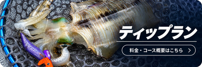ティップランの料金・コース概要を見る|エル・クルーズ