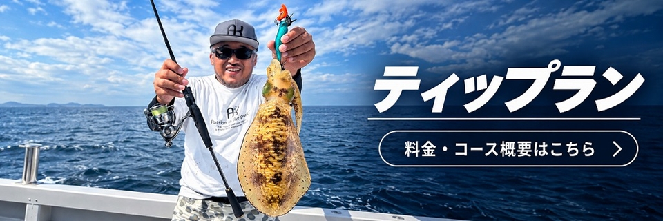 ティップランの料金・コース概要