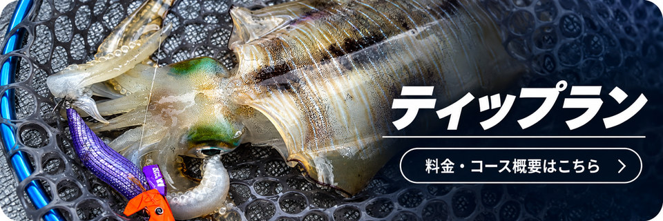 ティップラン｜料金・コース概要はこちら