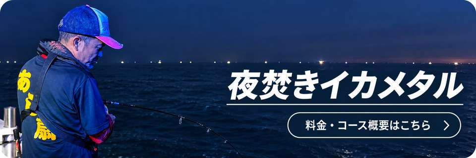 夜焚きイカメタル｜料金・コース概要はこちら